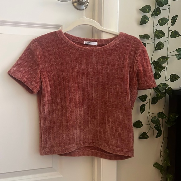 Zara Velvet T Shirt - Picture 1 of 4